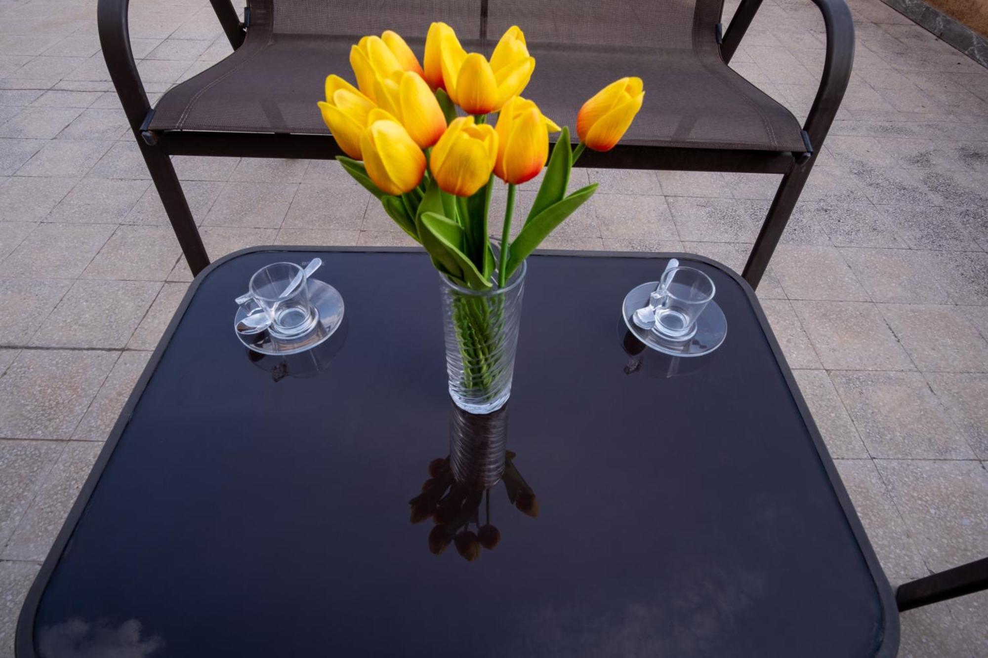Apartment Elegantis La Dolce Vista With Private Terrace And Fantastic View *